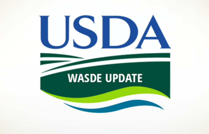USDA WASDE вересень 2025: нові баланси та реакція ринку
