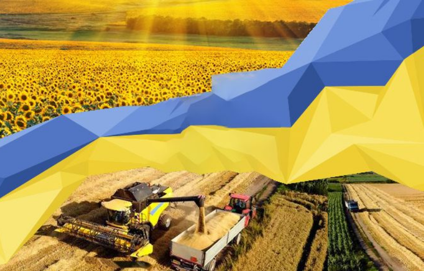 Урожай-2025: проміжні підсумки збирання ранніх зернових та логістика