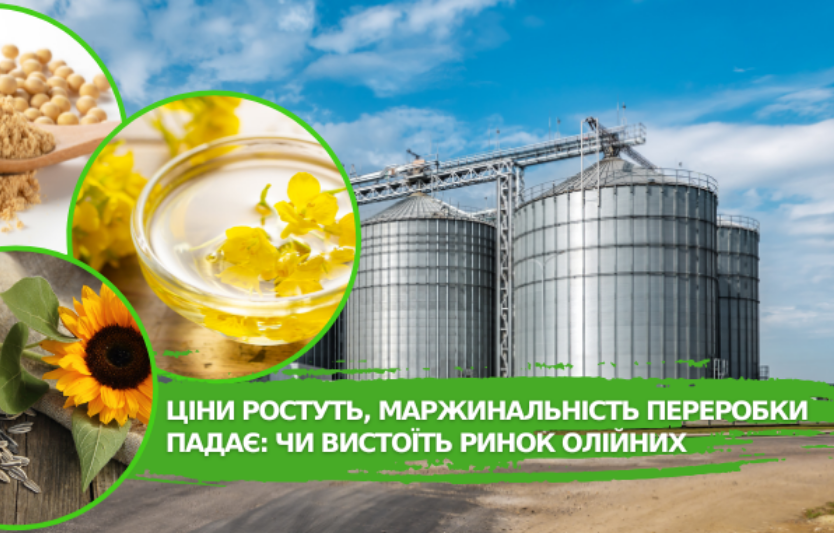 Соняшник/олія: вересневий ринок та маржа переробки