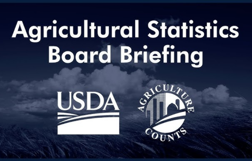 USDA NASS: Grain Stocks & Small Grains Summary — ключ до цін жовтня