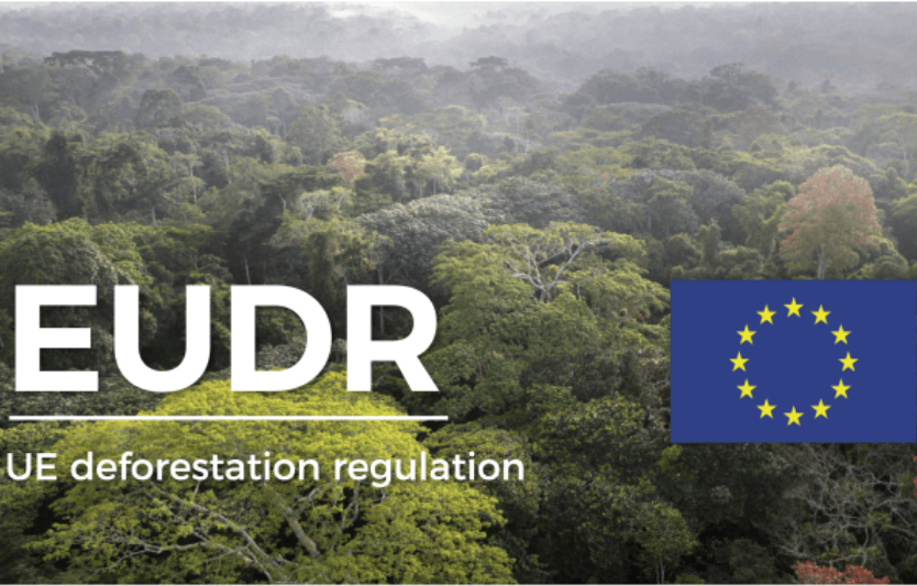 EUDR знову відкладають: що це означає для українських експортерів