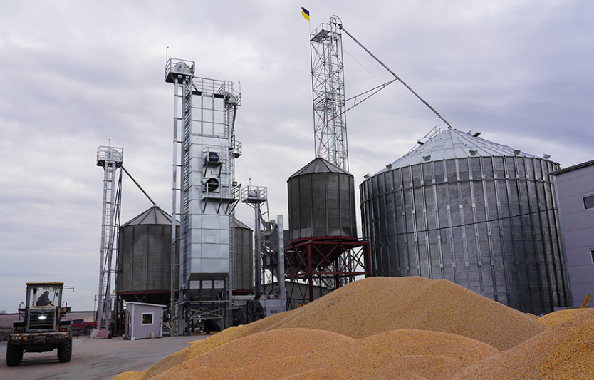 Ціни на зерно і соняшник у листопаді 2025: нові тенденції ринку