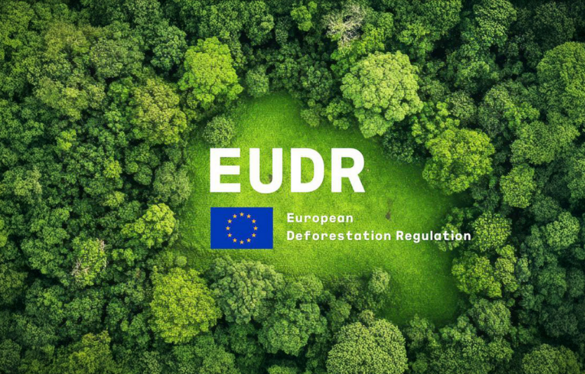 EUDR: дедлайни застосування у 2025–2026 та наслідки для постачань сої/кави/какао