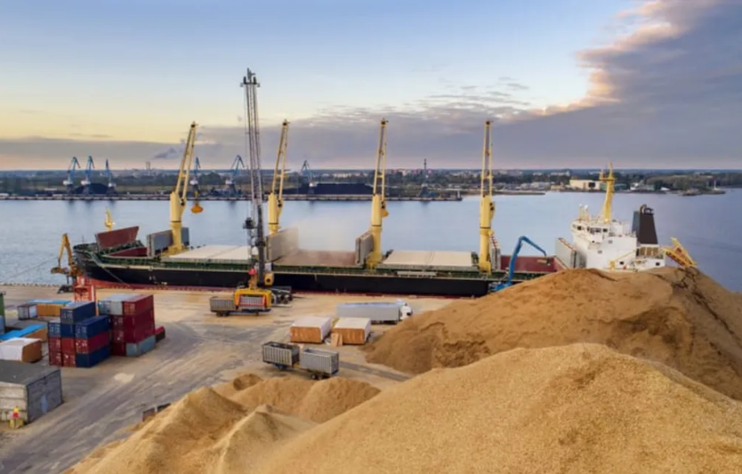 Світові ринки зерна: вплив нових торговельних угод