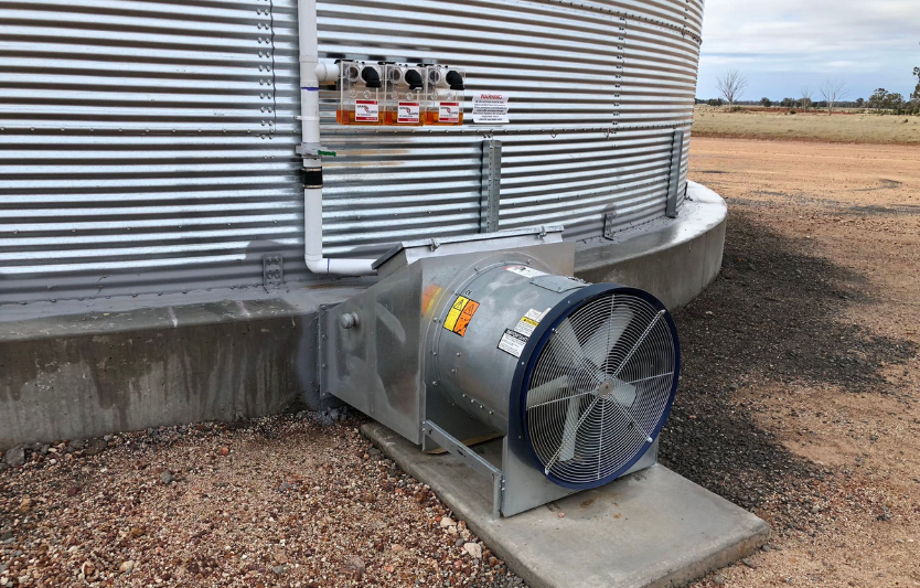 Як правильно зберігати зерно взимку поради агрономів