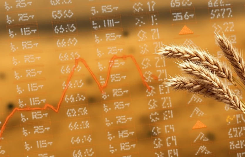 Прогноз цін на зернові в Україні на початок 2026 року