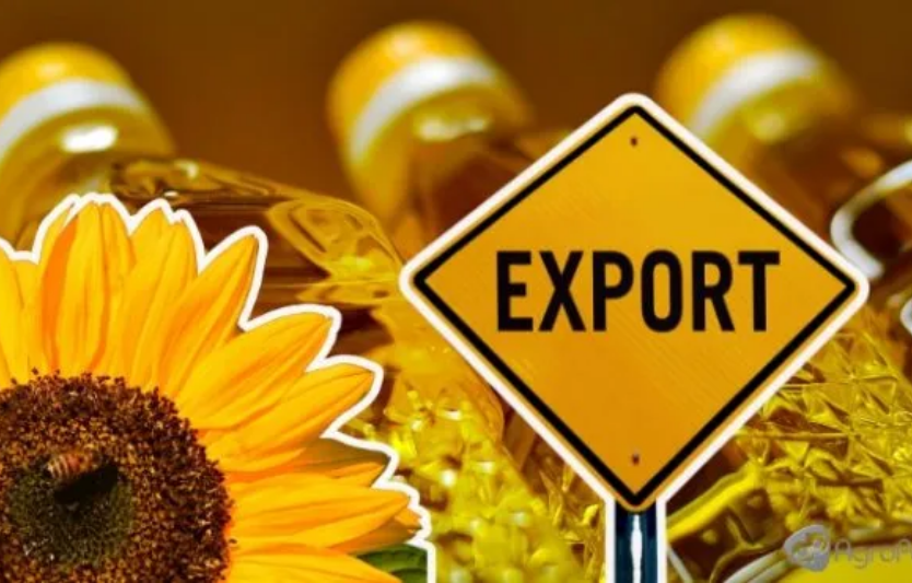 Україна втрачає позиції в експорті соняшникової олії: причини та ризики
